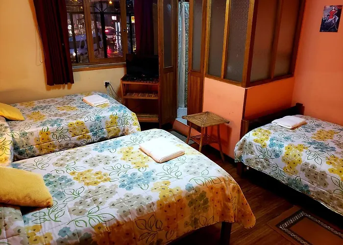 Hostel La Nuit Home